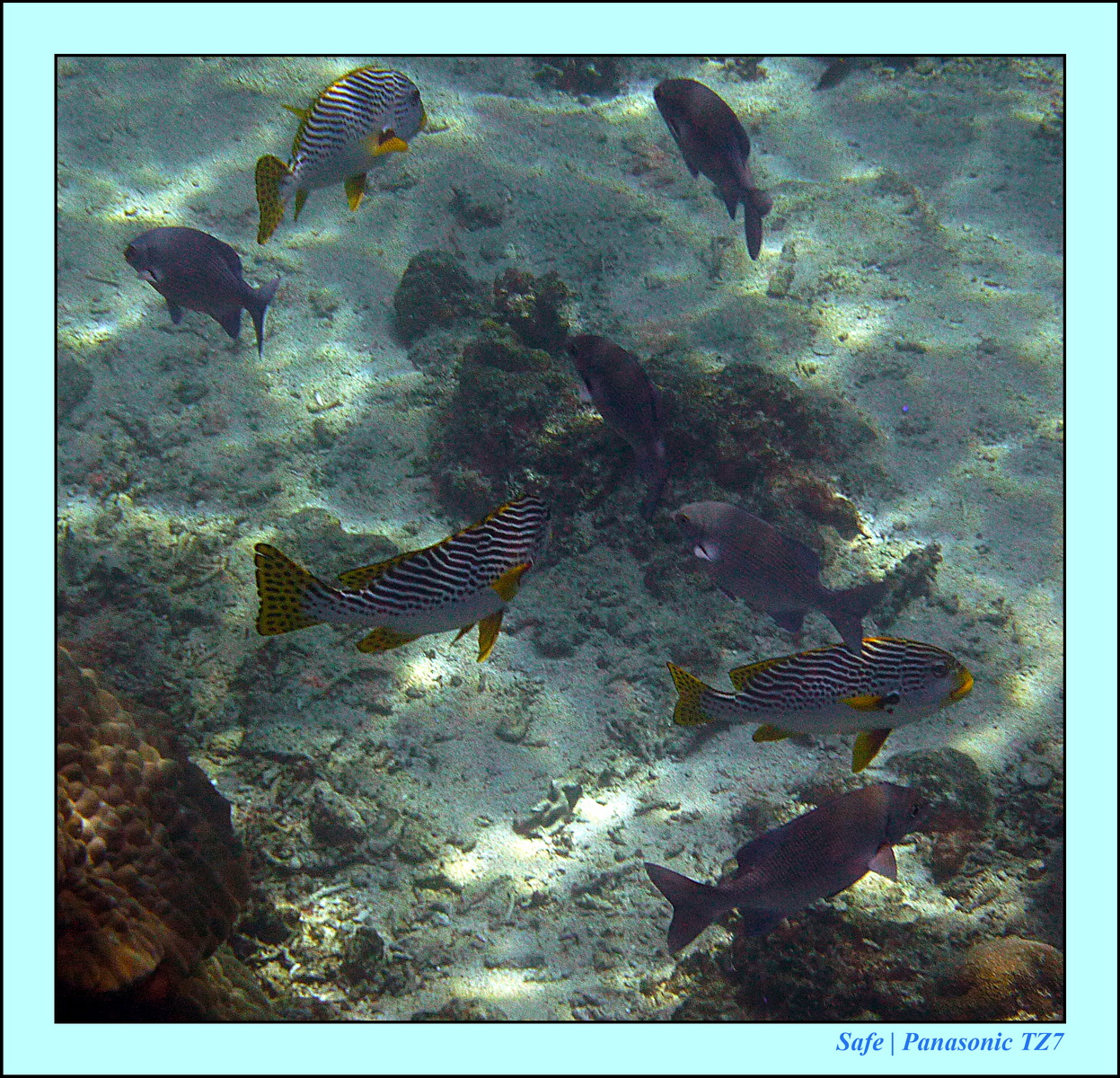 2012 - 07 - Gili - 94